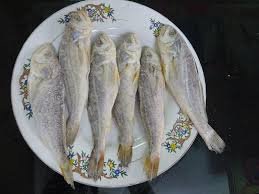 Dhoma Fish